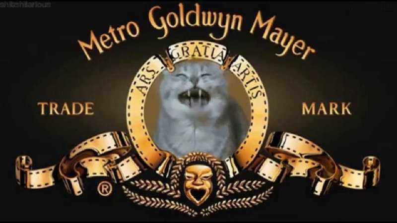 Кинематограф сша - metro-goldwyn-mayer