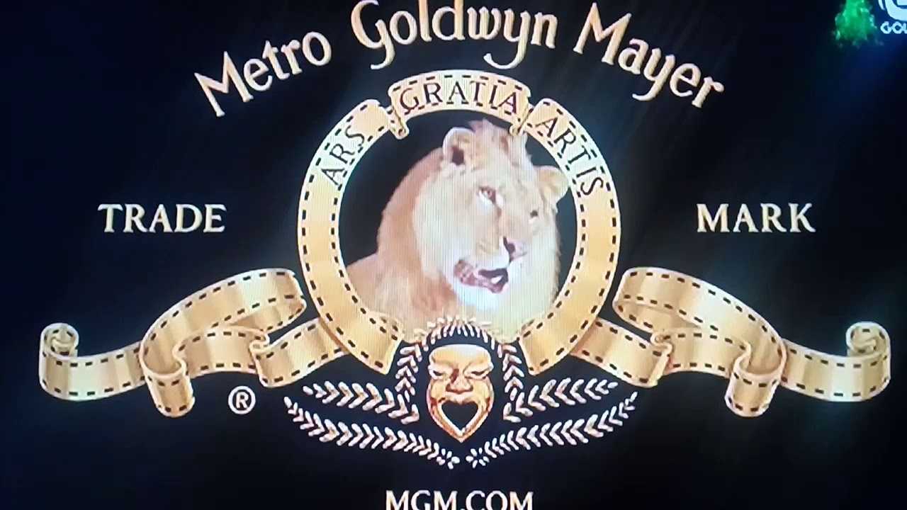 Mgm holdings