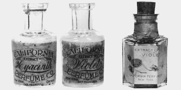 Парфюмерный дом avon: история бренда, парфюмеры, особенности ароматов