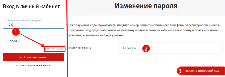 Приложение изменить номер. Пароль для входа в личный кабинет. Пароль для доступа в личный кабинет. Восстановление пароля для входа в личный кабинет. Если забыла пароль в личный кабинет.