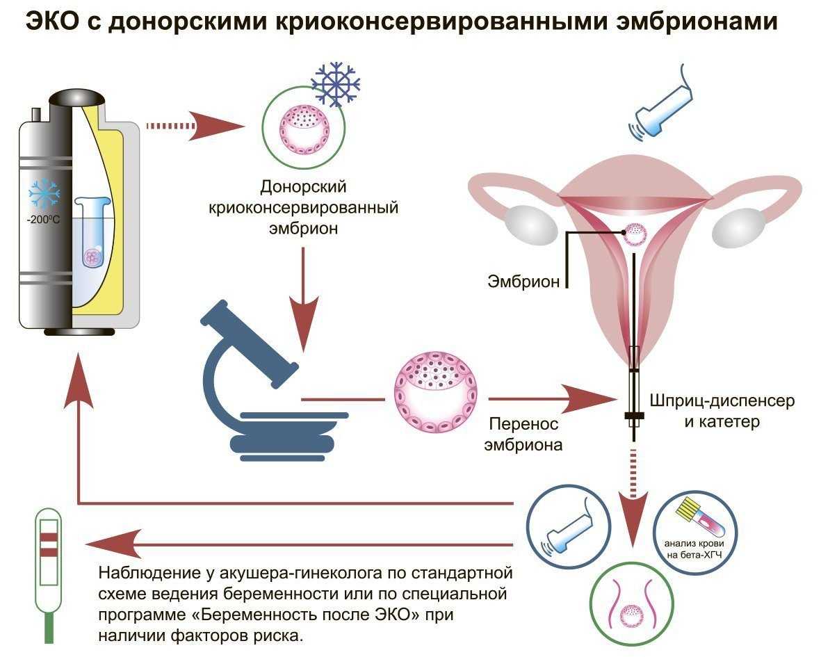 можно ли забеременеть от капли спермы фото 24