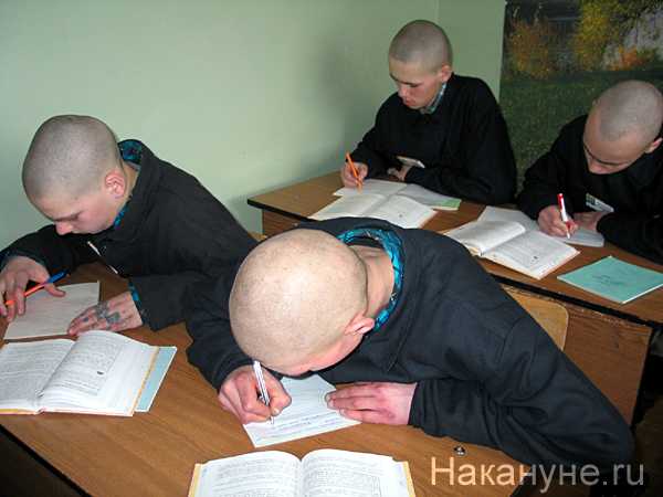 Виды коррекционных школ в россии