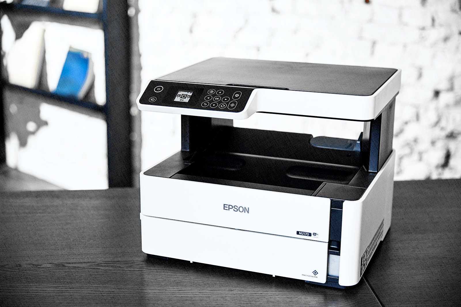 Выбираем недорогой принтер-сканер-копир для дома — рейтинг 2022 года