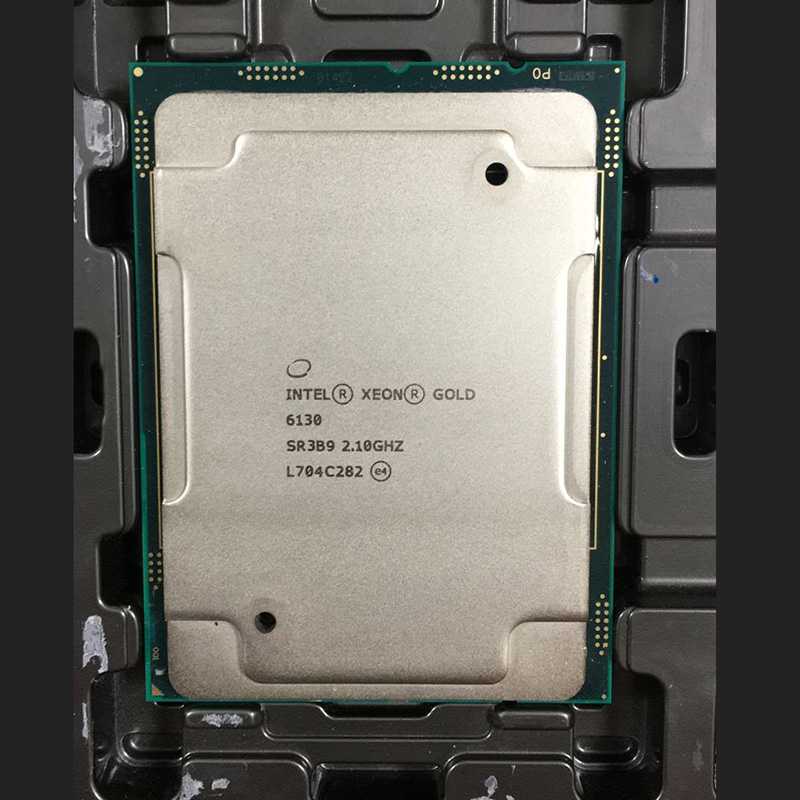 Процессор xeon gold. Xeon Gold 6130. Xeon Gold 6130 3647. Процессор Intel Xeon Gold 6338u. Xeon Gold 5117f.