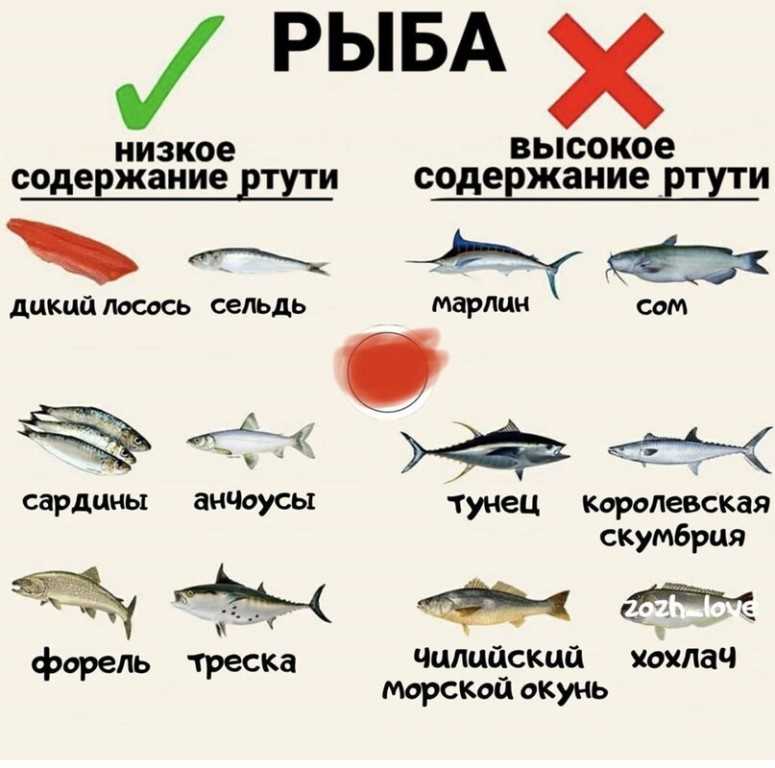 Приготовить рыба морская или речная