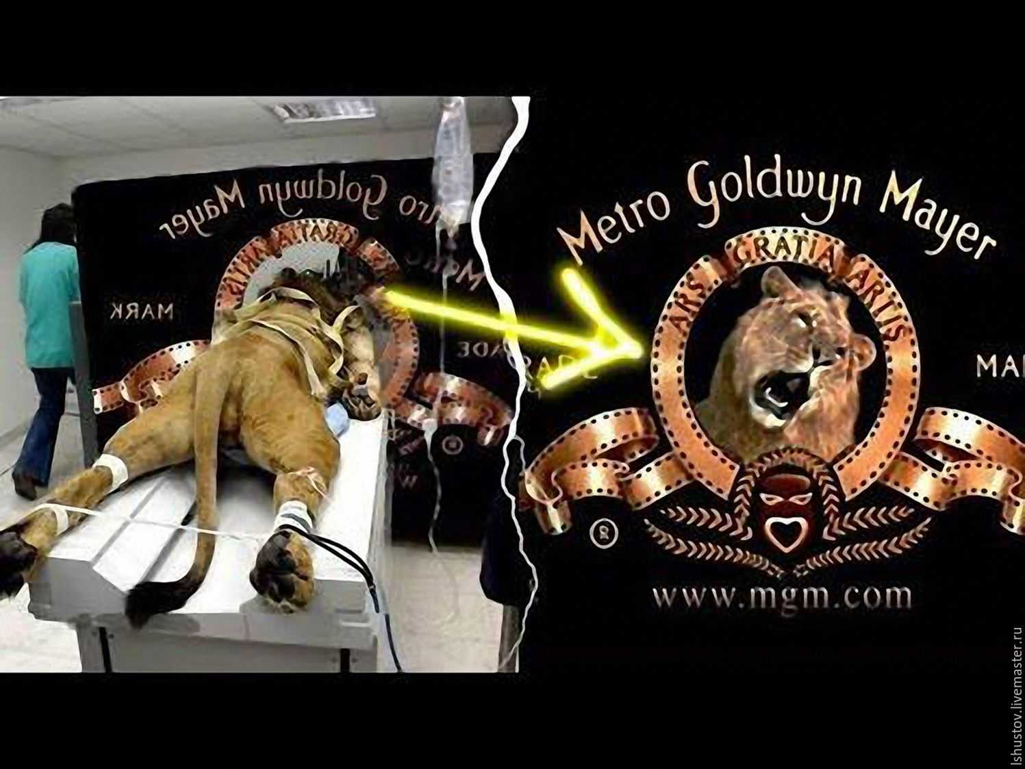 Mgm - metro-goldwyn-mayer - метро-голдвин-майер - cnews