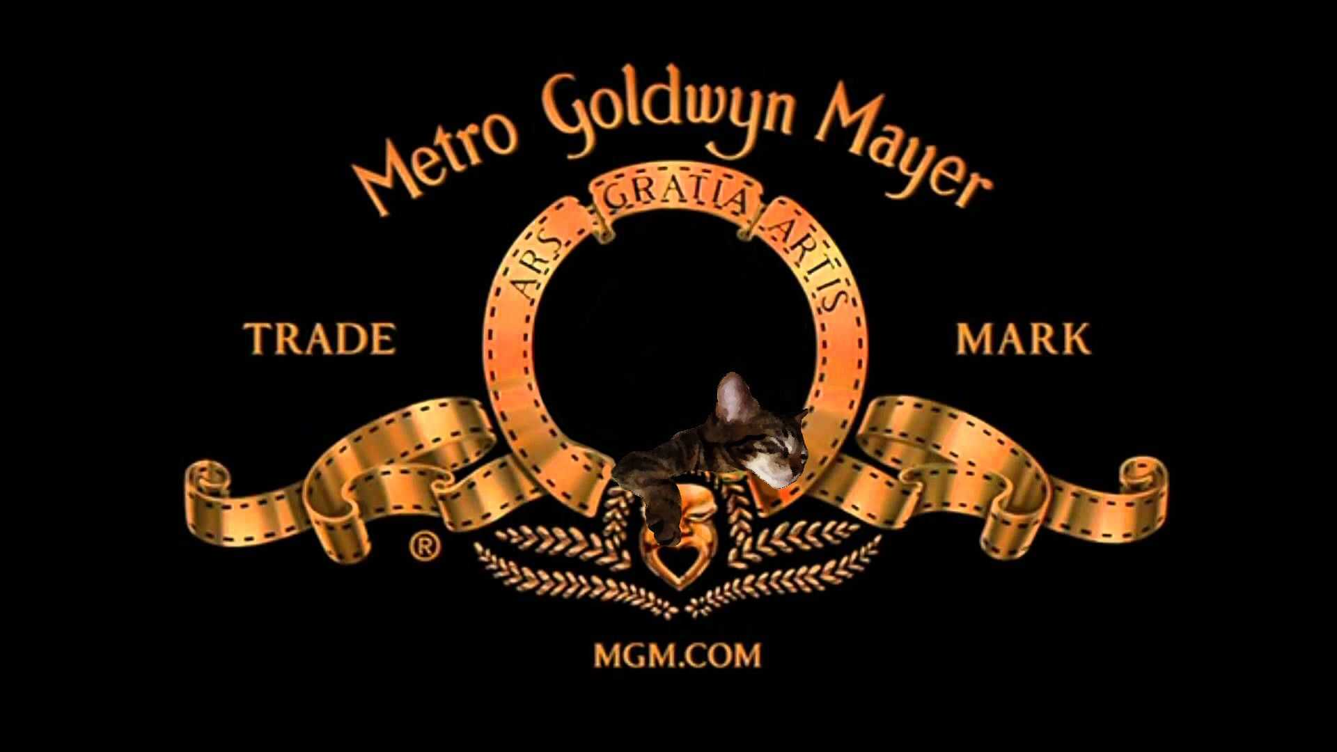 Mgm holdings - mgm holdings