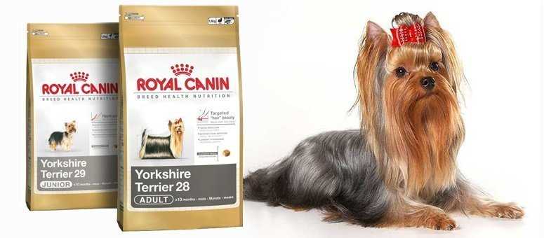 Йорк корм грамм. Корм для йорков Роял Канин. Royal Canin Yorkshire Terrier. Корм для собак йорков сухой Роял Канин 4. Корм для собак йорков сухой Роял Канин 3.