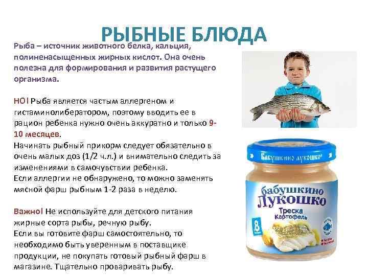Рыба для жарки на сковороде: какая лучше. список самой вкусной рыбы